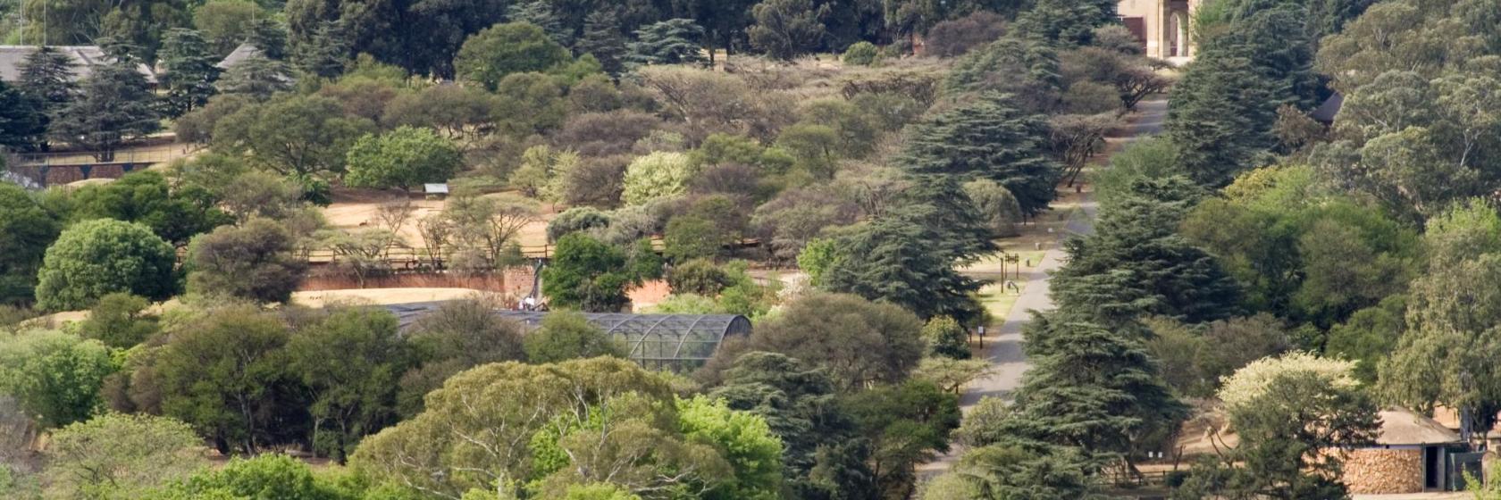 Zoológico de Johannesburgo